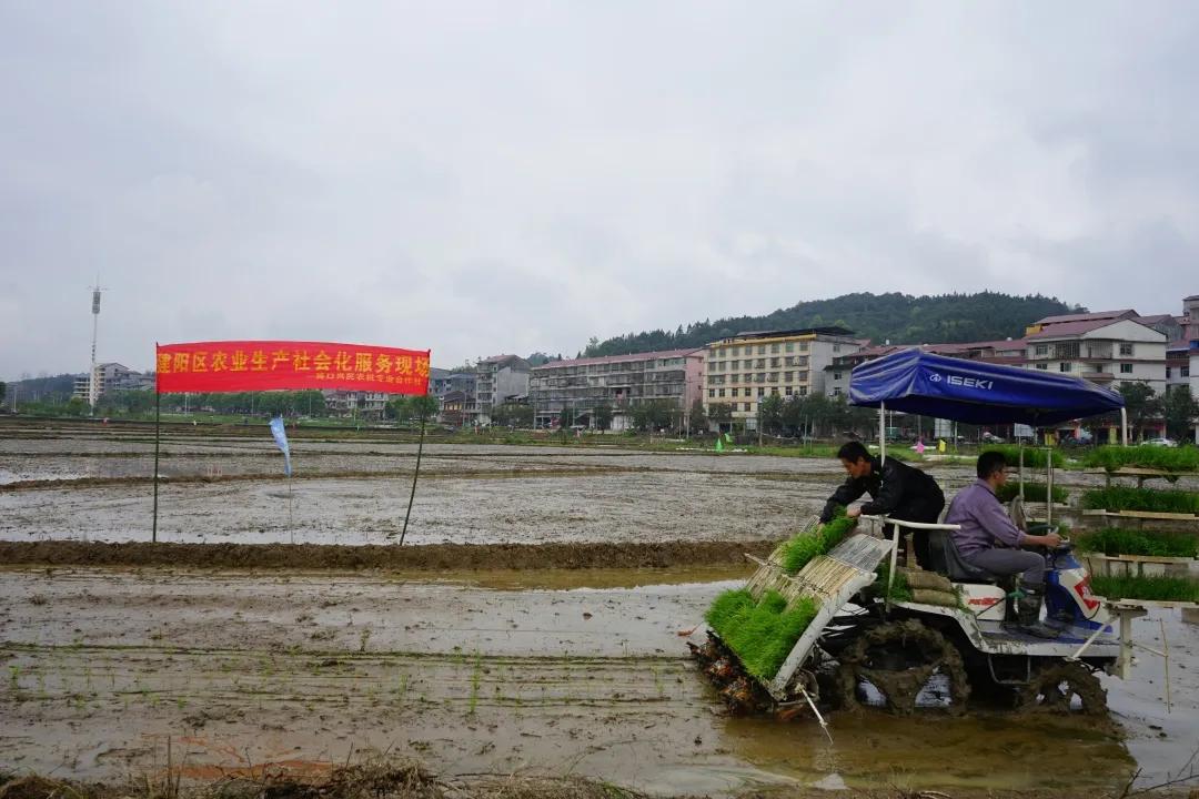 建阳市科学技术和工业信息化局招聘启事概览