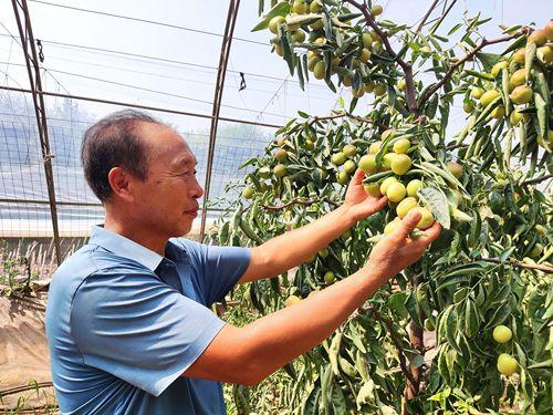 五泉村新项目，乡村振兴新引擎启动