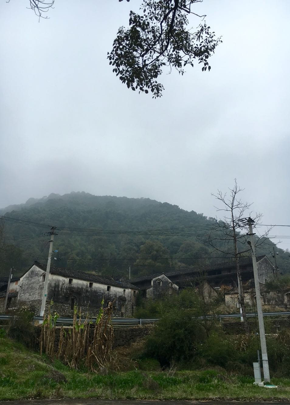 漓渚镇天气预报更新通知