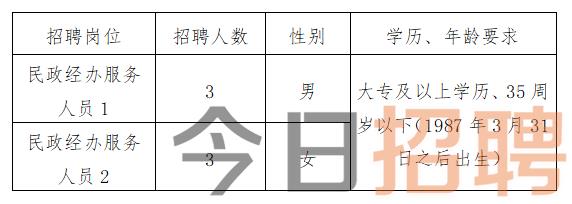 新罗区民政局最新招聘信息全面解析