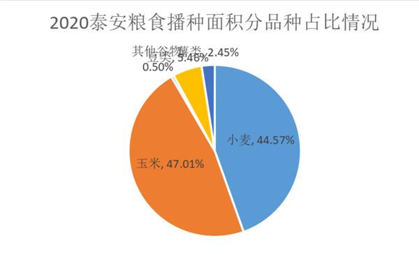 泰安市企业调查队最新项目深度解析报告发布