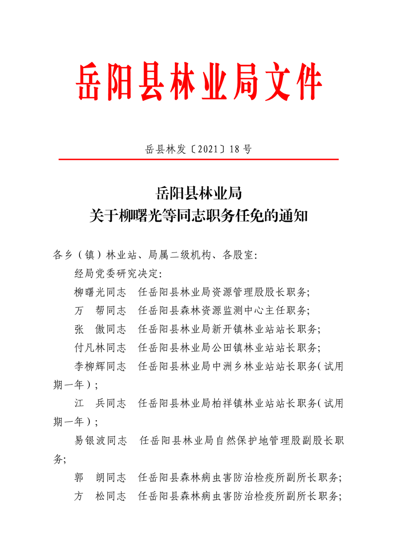 阳光林场人事大调整，最新任命动态及其深远影响力