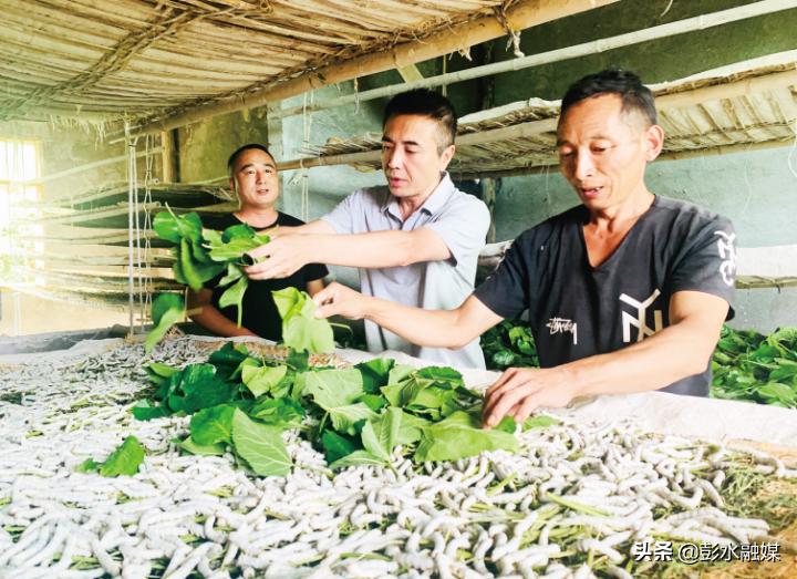 靛水街道交通新闻更新，街道最新交通动态