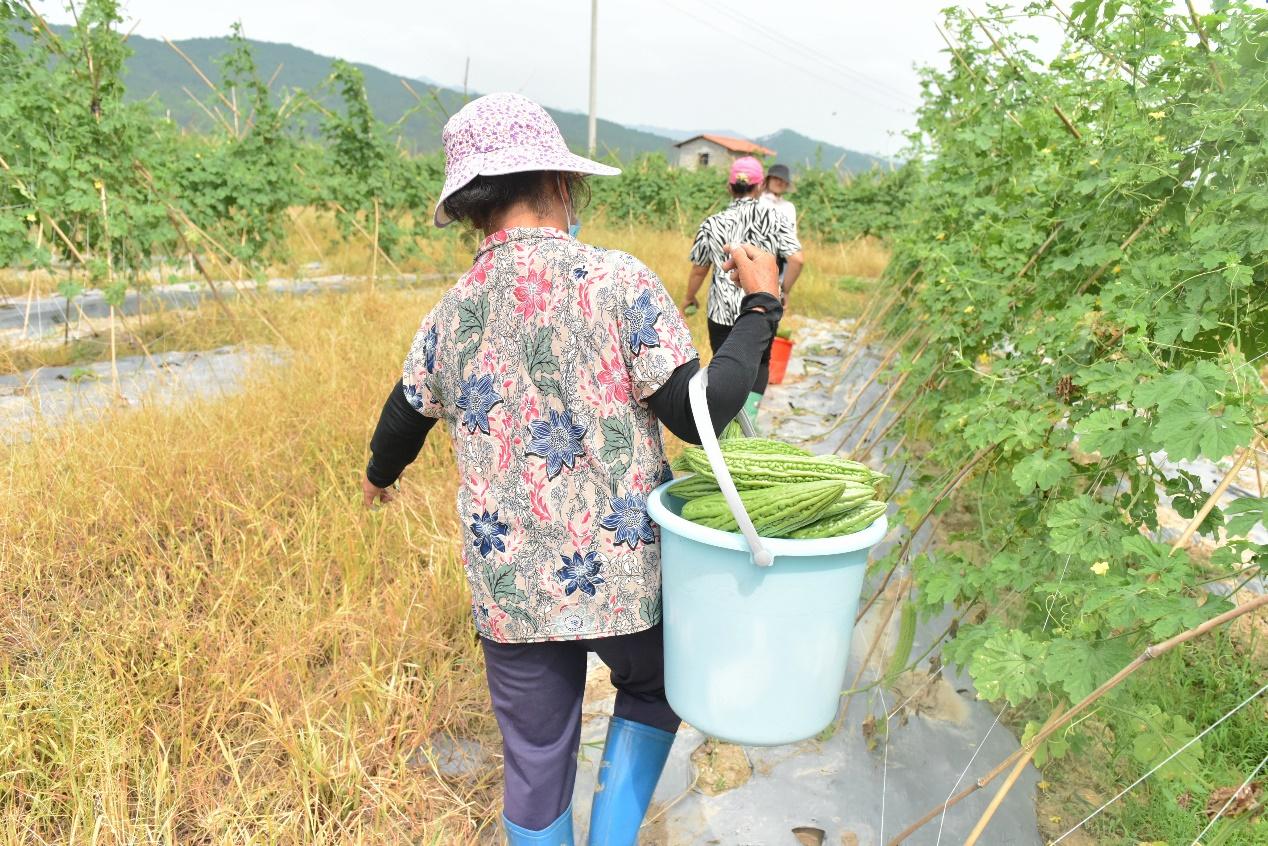 昭平县发展和改革局最新发展规划深度探讨