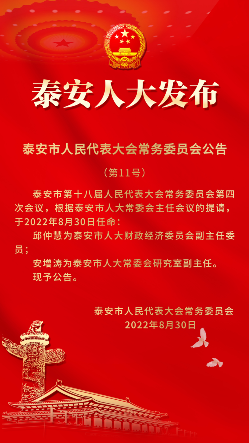 泰安市发展和改革委员会人事任命动态解读