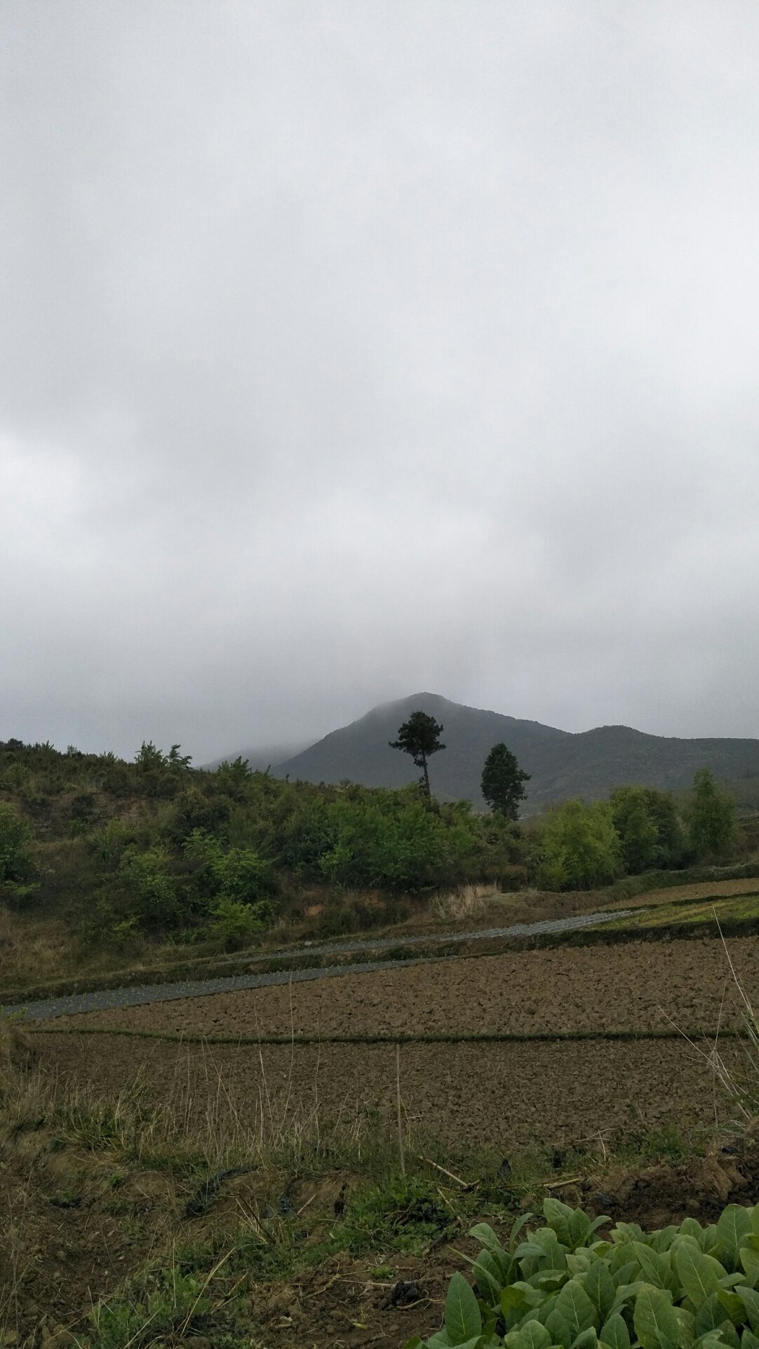 吉雅村今日天气预报