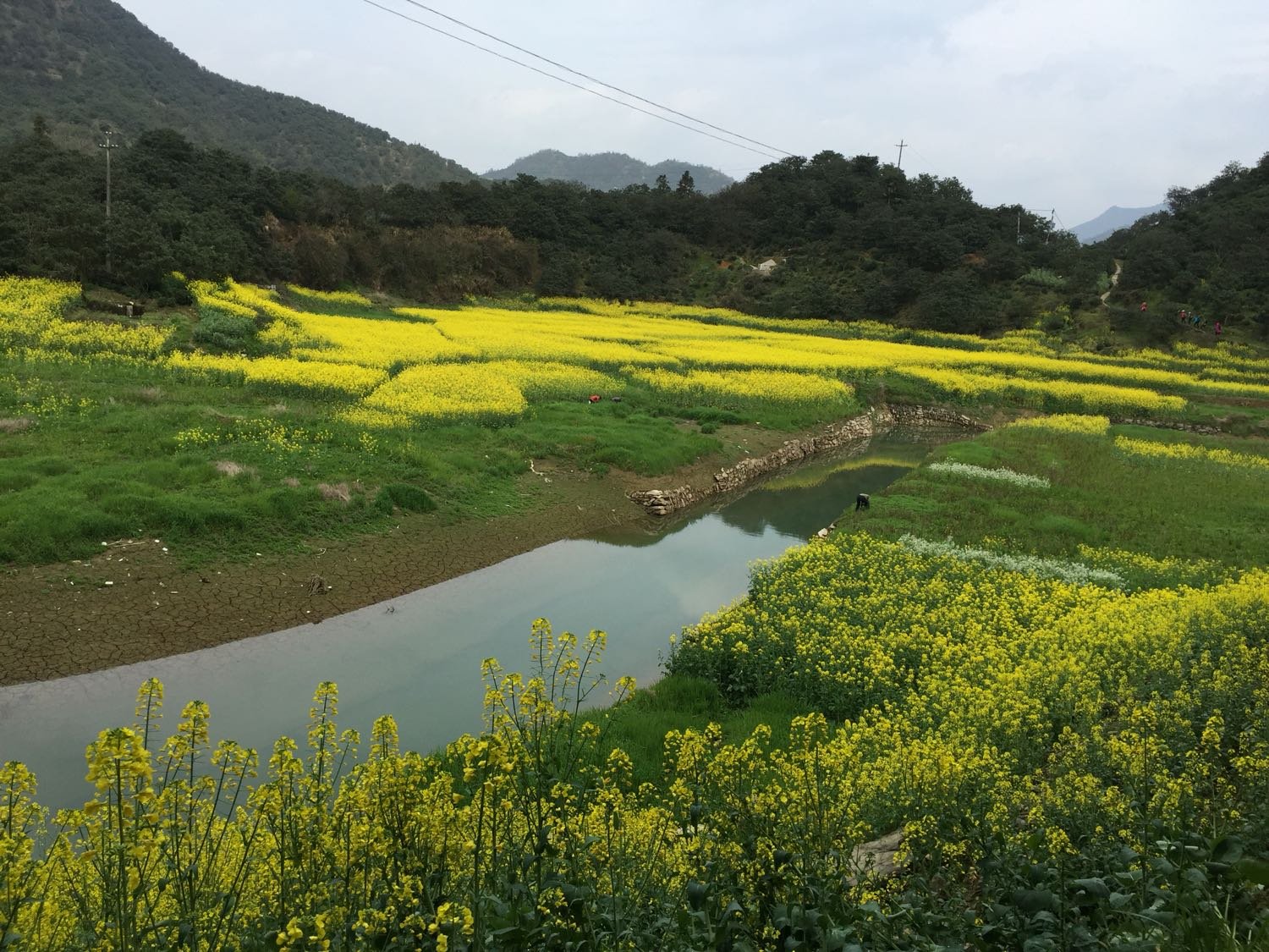 黄花乡天气预报更新通知