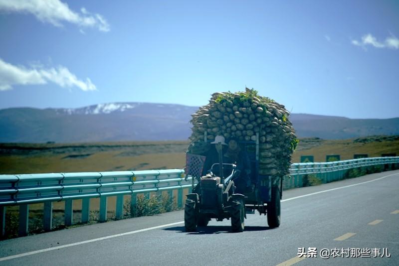 贡巴村委会新项目启动，重塑乡村未来