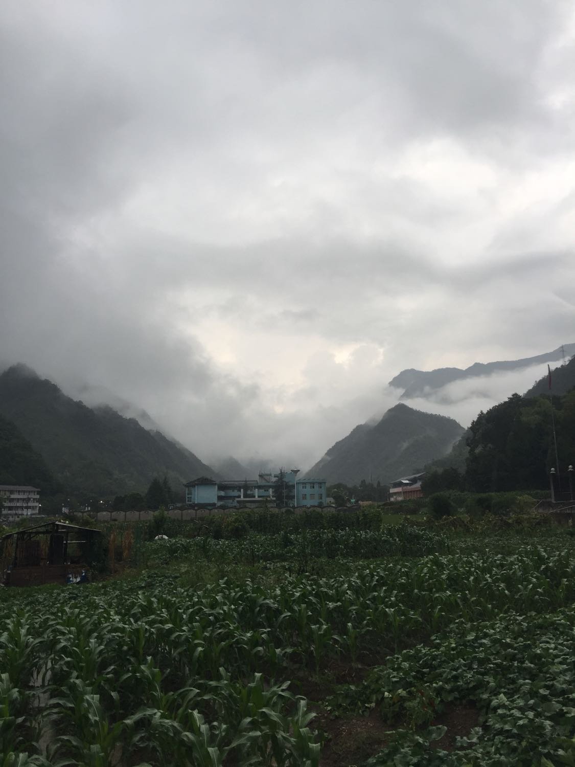 水堤村天气预报更新通知